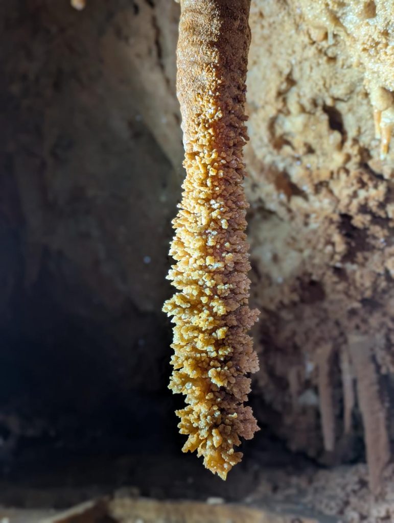 Liebevoll "Klobürste" genannt: Tropfsteine, die zeitweise unter Wasser waren.
