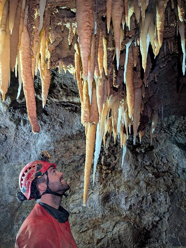 So sehen Karotten wohl von unten aus