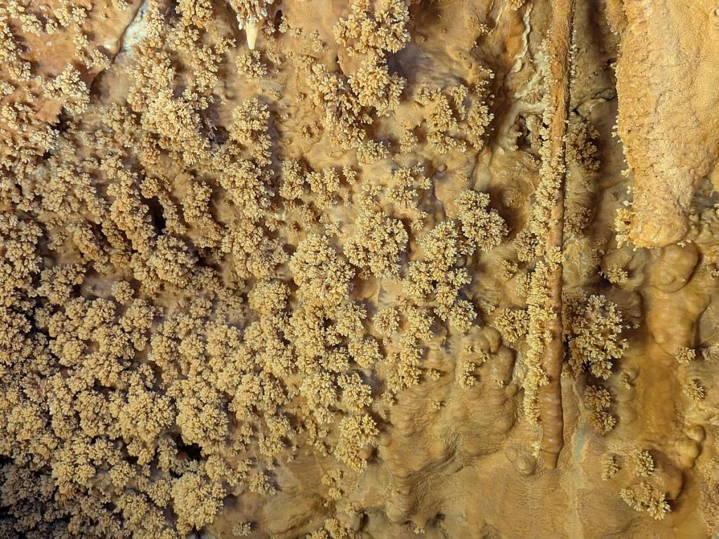 Grotta Mitzi - Brokkolisinter