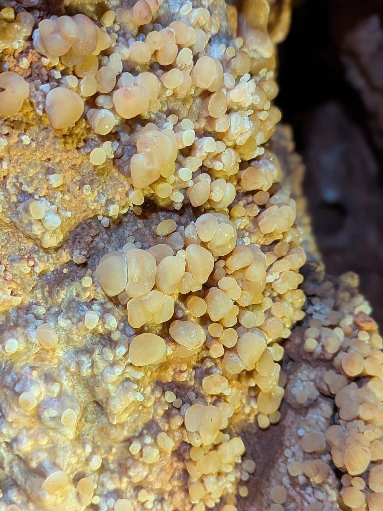 Grotta Mitzi - Knöpfchensinter