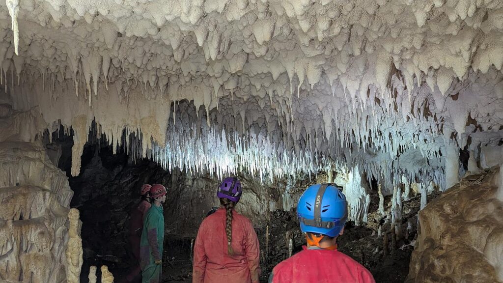 Grotte Estevan. Irre weiße Decke.